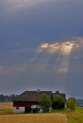 rays of sun