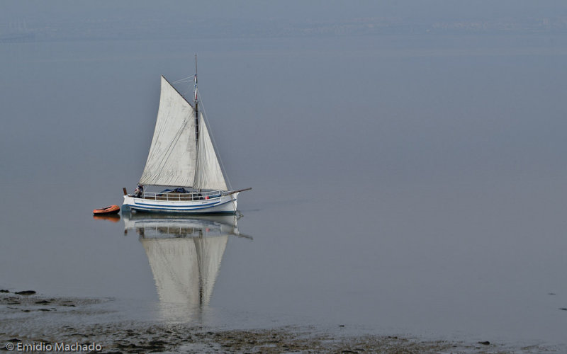 Barcos
