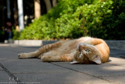 DSC00316a.jpg