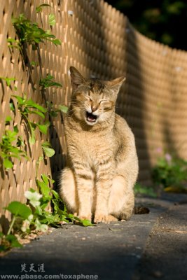DSC03319a.jpg