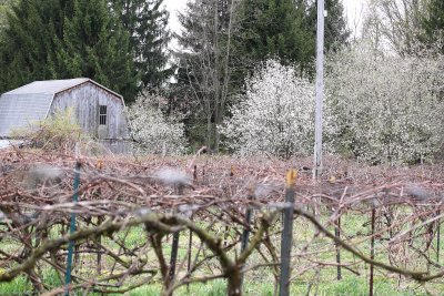 the_farm_050210
