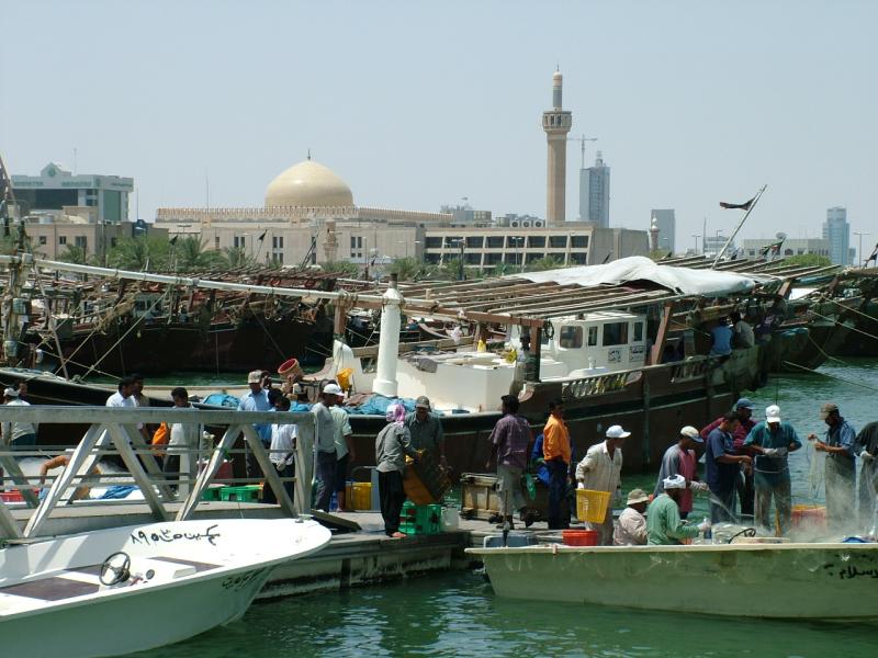 Many Hands Kuwait.JPG