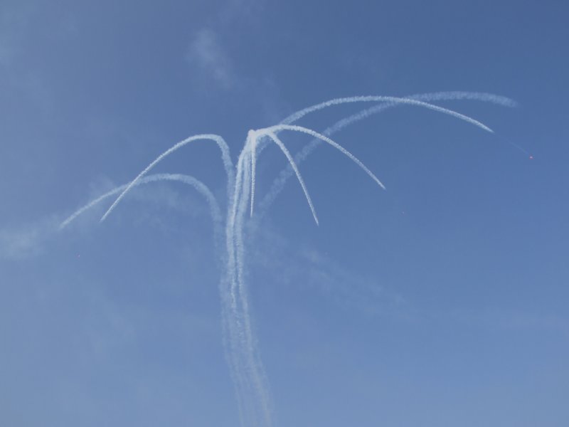 Red Arrows Palm Tree Dubai Air Show 2007.JPG