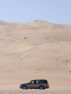 In the Liwa Desert.jpg