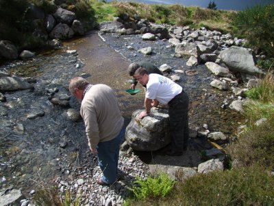 Gold Panning Experts