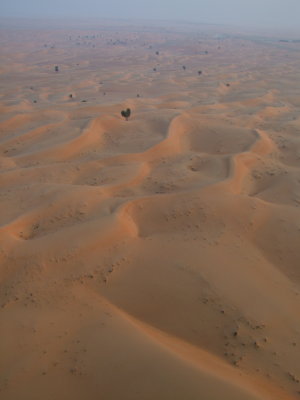 DSCF6612.jpg