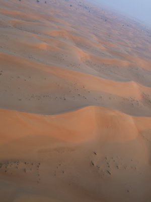 DSCF6640.jpg
