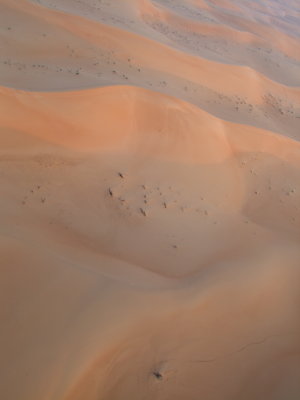 DSCF6641.jpg