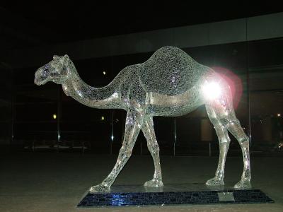 2034 3rd Feb 06 Camel outside Emirates Towers.JPG