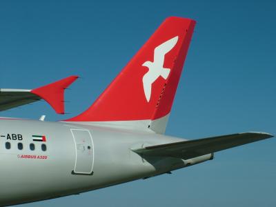 1523 13th Nov 05 Tail of Air Arabia A320 ABB.JPG