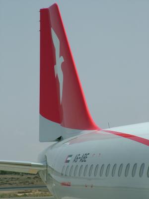 1141 ABE Tail First Day in Sharjah.JPG