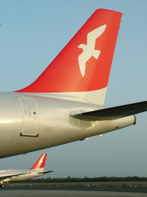 0646 20th Mar 06 Two Tails.JPG