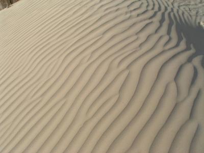 Sand Dune Mutlaa Ridge Kuwait.JPG