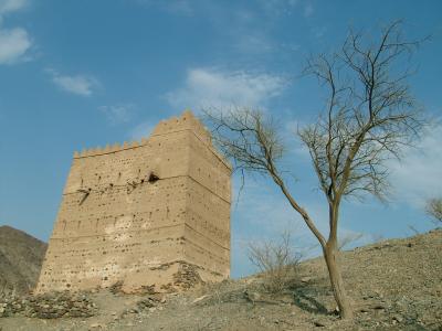 Wadi Hayl.JPG