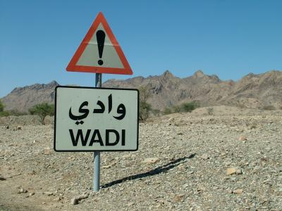 Wadi Dubai.JPG