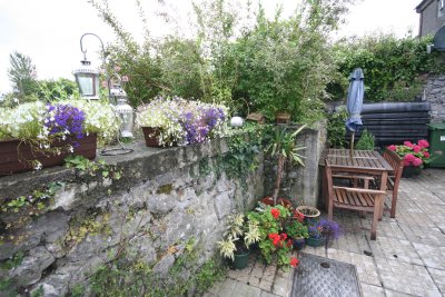 Patio Flowers.JPG