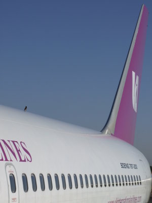 0911 31st October 07 Bird on fuselage of UKIA at Sharjah Airport.JPG