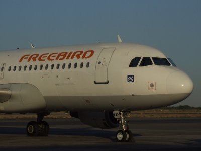 1659 30th October 07 Freebird A320 at Sharjah Airport.JPG