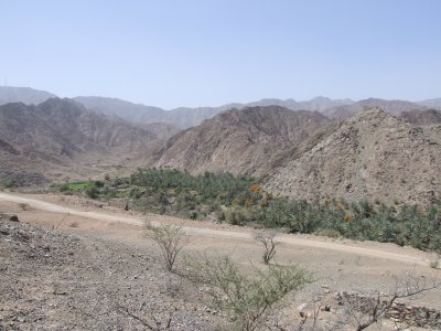 Green Oasis Wadi Hayl Fujairah.JPG