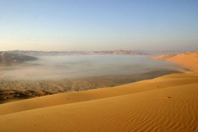 Liwa Oasis