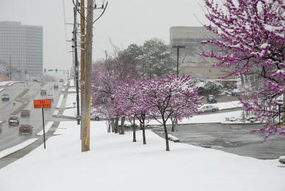DSC_0048.jpg