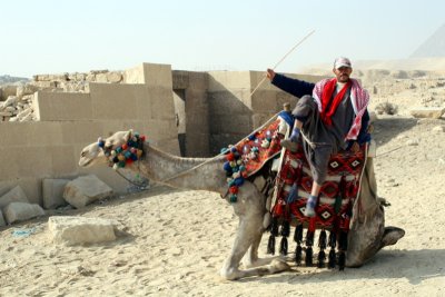 Camel jockey with a stick