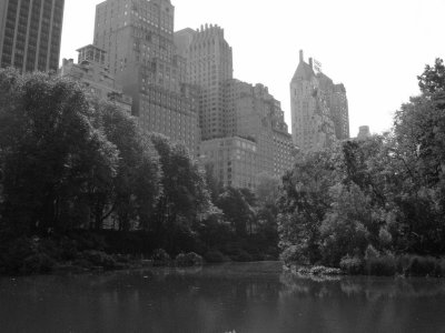 View from Central Park