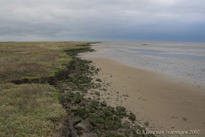 Waddenkust / Coast of the Wadden Sea