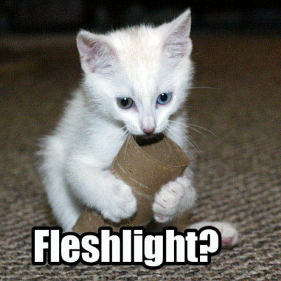 fleshlight.jpg