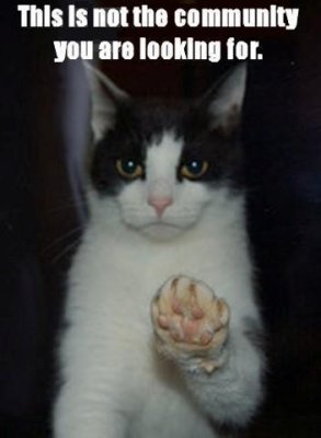 catpaw-1.jpg