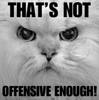 notoffensivecat.jpg