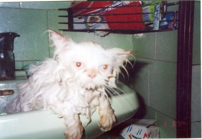 image010.jpg