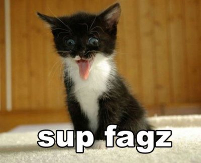 sup fagz