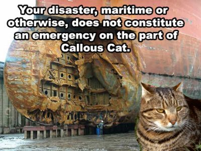 callouscatdisaster.jpg