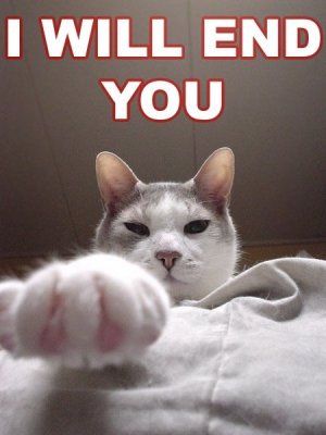 iwillendyou.jpg