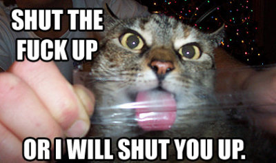 stfu.jpg