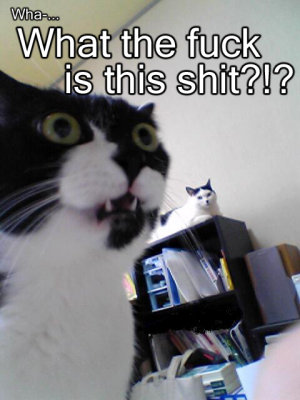 wtf-is-that.jpg