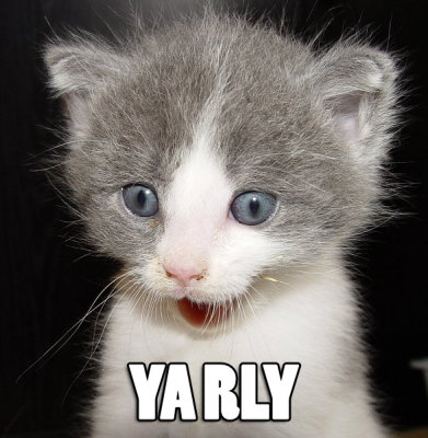 YARLY.jpg