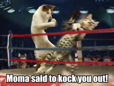 mommasaid.jpg