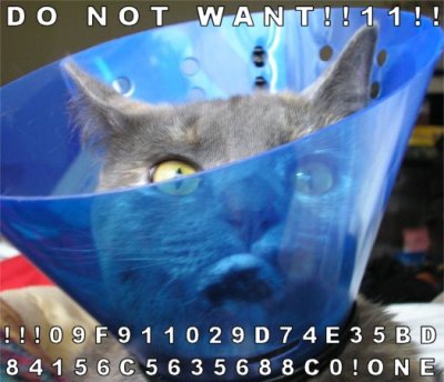 not want
