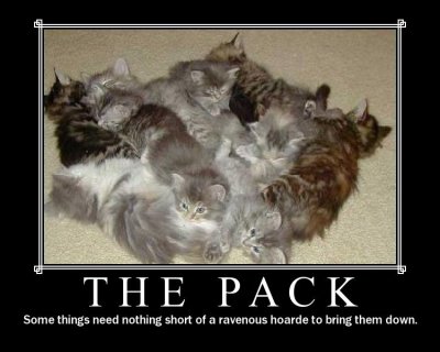 thepack
