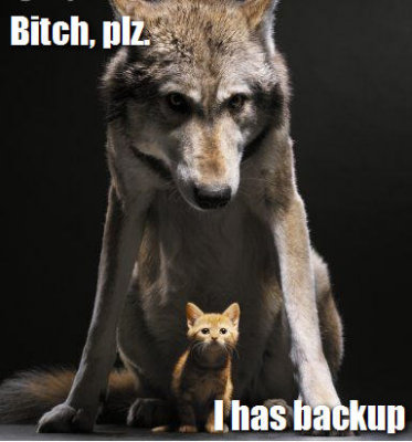 backup.jpg