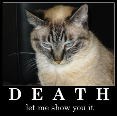 deathshow