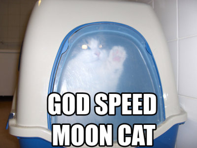 godspeedmooncats