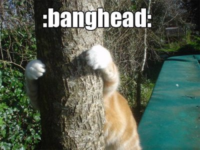 banghead