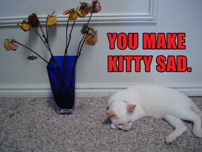 SADKITTY.jpg