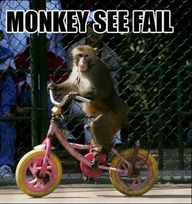 MONKEYSEEFAIL.jpg