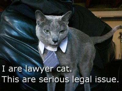 lawyercat
