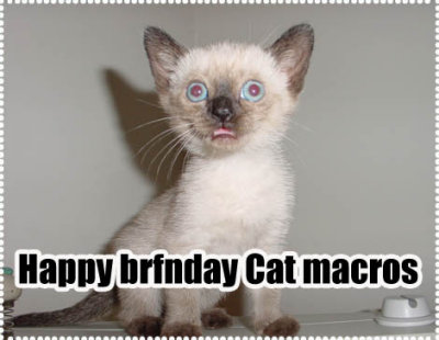 hbrfdaycatmacros 11-28.jpg