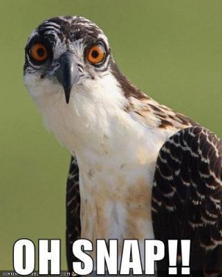 snap5.jpg